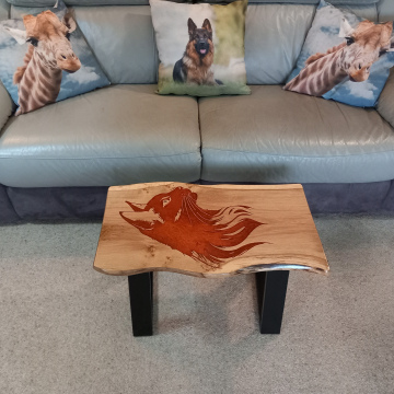 Cat on English Oak   'Rusty'